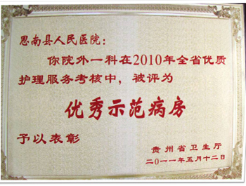 全省优质护理优秀示范病